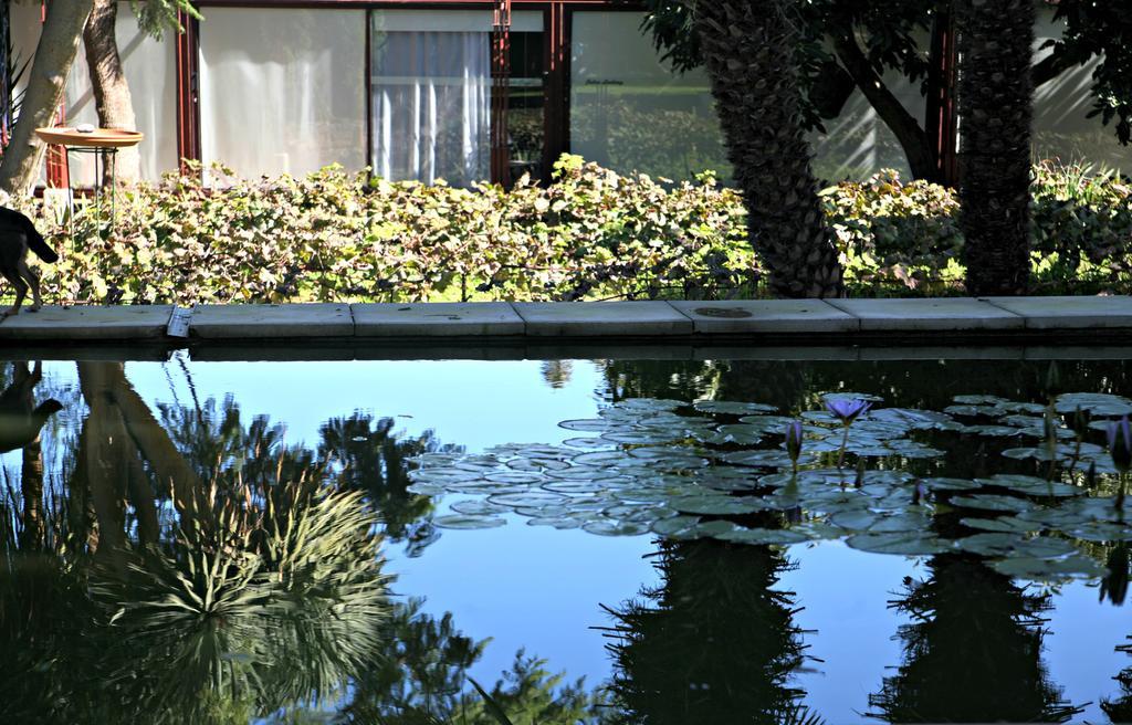 Hotel Emblematico Casa Casilda กาโกรอนเต ภายนอก รูปภาพ